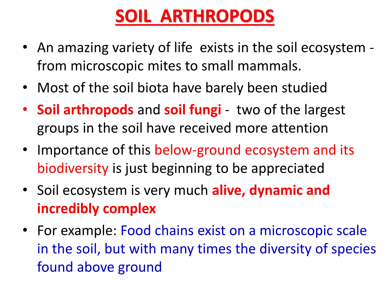 No preview available